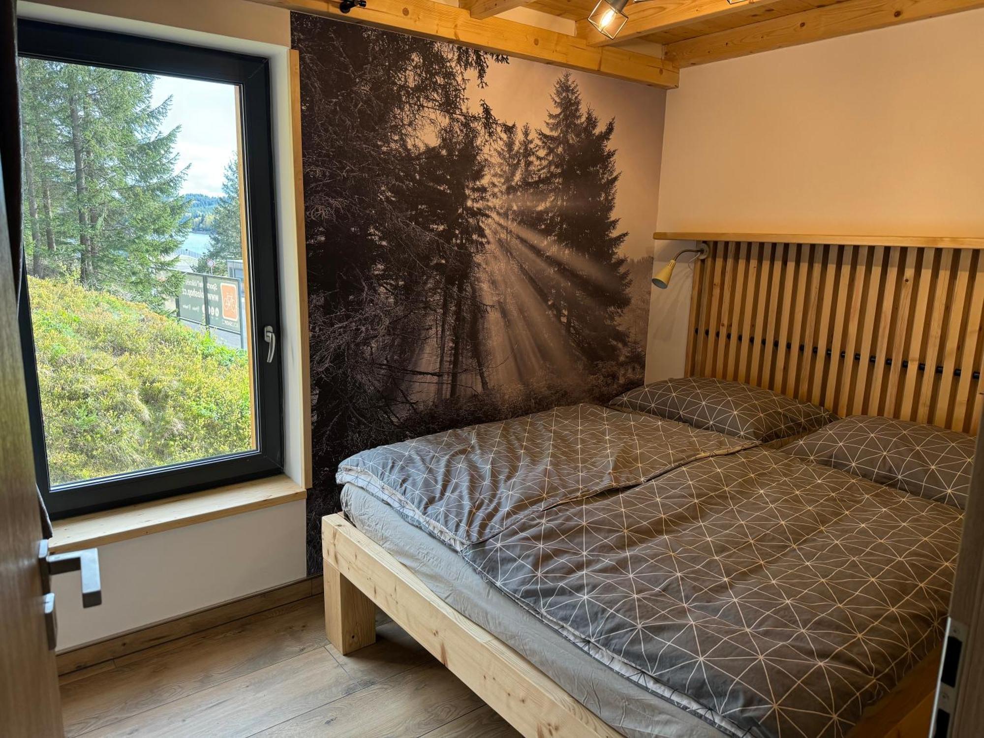 Flaje Apartmany Český Jiřetín Exterior foto